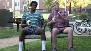 Guardzilla Apartment HD