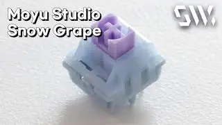 Moyu Studio Snow Grape Typing Sound