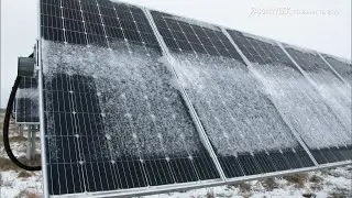 Farmweek | Solar Gardens | February 16, 2023
