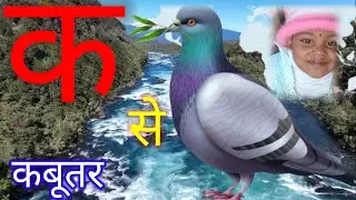 Ka Se Kabutar। Kids Learning Video। Kids Study। Kids Education। Kids Learning Hindi Vernmala। Hindi।