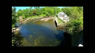 Alewives Herring Run Maine