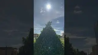 A Beautiful Sunrise with the Natural Sound of Birds. #sun #sunrise #shortvideo #countrysidelife .