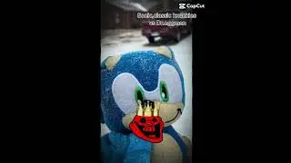Who is the real king?? #sonicthehedgehog #king #edit