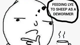 DEWORM SHEEP WITH LYE IN FEED, An autistic adult's guide to doing things. #autistic #adult #farming 