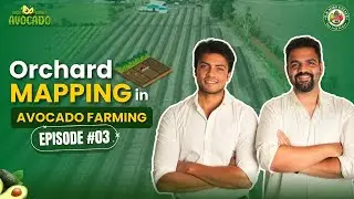 Orchard Mapping in an Avocado Farm🥑 | Episode 3