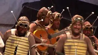 Chirigota LAS QUE SALEN POR LA NOCHE