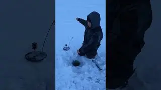 ПОСТАВУХИ РАБОТАЮТ ОТЛИЧНО