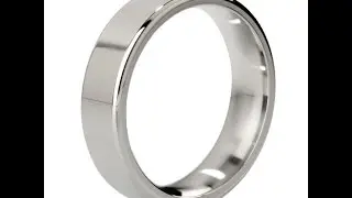 MyStim Duke Stainless Steel Polished Cock Ring men vibrator