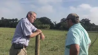 Developing a Pasture Management Plan for 2020 in 3 Minutes