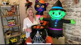 Hay & Harvest Illuminated Halloween Cauldron with Web Design on QVC