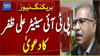 PTI Senator Ali Zafar Says Allama Nasir Abbas Will Become The Opposition Leader in Senate | Dawn