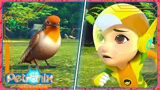 PAUL-E RESCUE | 🌎 PETRONIX Defenders 🐾 | Full Episode