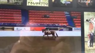 Grace Stimson Nationals 2015