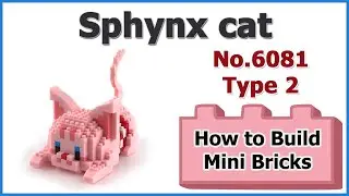 How to Build Mini Blocks Sphynx cat No.6081 Type 2 Review Instructions Specifications