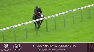 2023 Breeze Up - Lot 102 c. SIOUX NATION x COMEDIA ERIA