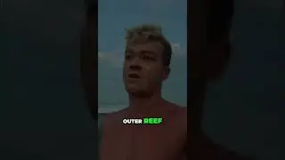 First Light Surf Check: Solo Session at the Outer Reef! #shorts