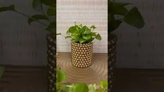 DIY Glass Marble Craft | DIY Planter | DIY Tin Can Craft #diy #trending #art #viralshorts #plants