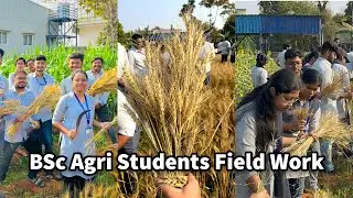 BSc Agriculture Students Field Work | Life of Agriculture BSc Students | Vlog 10