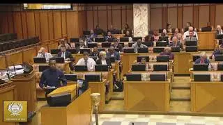Luyolo Mphithi Declaration In National Assembly