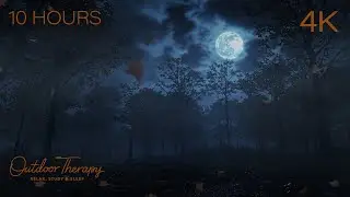 Moonlit Forest in Autumn | Fog & Blowing Leaves Ambience for Sleep, Study & Relaxation [4K] 10 Hours