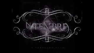 In Tenebra - A Breaking Path (2012)
