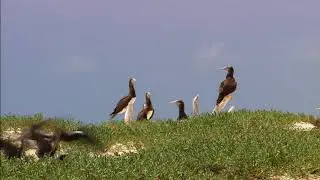 Videezy.com How beautiful is EARTH😍