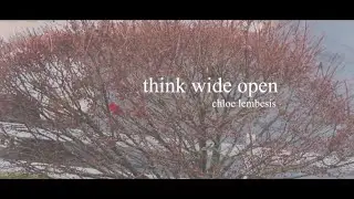 Think Wide Open (ACCEPTED)