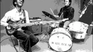 Hound Dog Taylor - Freddie's Blues