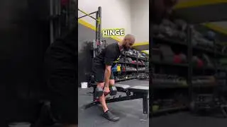 Single leg bench leaning RDL for those thick hamstrings 🍑 #strengthtraining #trainingtips #gym
