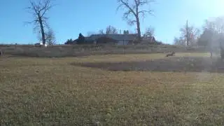 Stella Bean lure chasing
