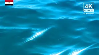 4K Egypt Background | Red Sea | Relaxing Ambient Wallpaper | 345