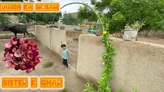 Village Life in Rain | Balach Hajji Baba Vlog at Sir’s Home 🌧️🌿