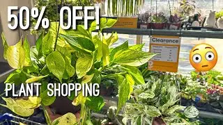 Скидка 50% на комнатные растения в Lowes! Покупка растений в местном крупном сетевом магазине. По...