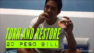 Torn and Restore Bill | Performance
