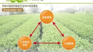 3 2茶樹的栽培環境