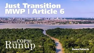 COP30 Brazil Negotiations | Testing Global Action on Mitigation, Just Transition, and Carbon Markets