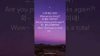 Korean Variety Show Phrases   Part 10 #koreanvariety #learnkorean