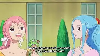 One Piece 884 Preview English Sub