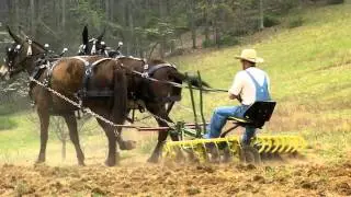 Short Mountain Distillery - Spring Planting 2011