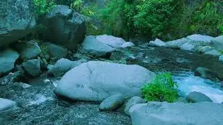 Natural White Noise | 10 Hours of a Flowing River for Sleeping or Studying