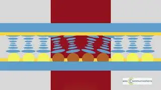 Gold nanoparticle&mdash;liquid crystal thin film shows off photonic and plasmonic flipping
