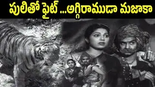 పులితో ఫైట్ అగ్గిరాముడా మజాకా Aggi Ramudu 1954 | NTR Action Scene | Bhanumathi | iD Harivillu