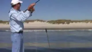 Redfish in the Surf with Sandbar Safari