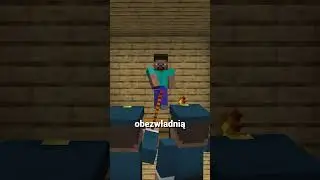 PSY W MINECRAFT!