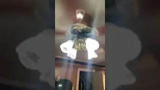 Hampton Bay St Claire Ceiling Fan | Nearly Balanced