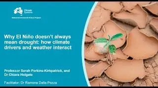 Why El Nino doesn't always mean drought: How climate drivers and weather interact