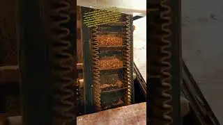 【Beston recycling solution of Sunflower stalks 】Sunflower stalks turn into combustible charcoal