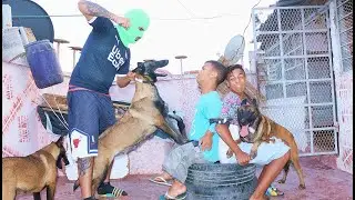 مقلب المالينوا : عضوهم الكلاب بسبب فيلم قصير | اخطر مقلب😭