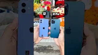 iPhone 12 против iPhone 12 Pro || Тест зума камеры! #шорты