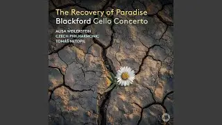 Concerto for Cello and Orchestra 